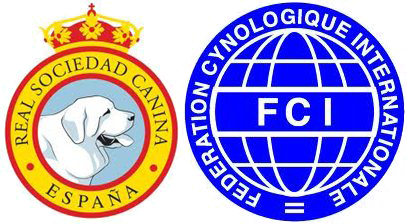 Logos RSCE y FCI