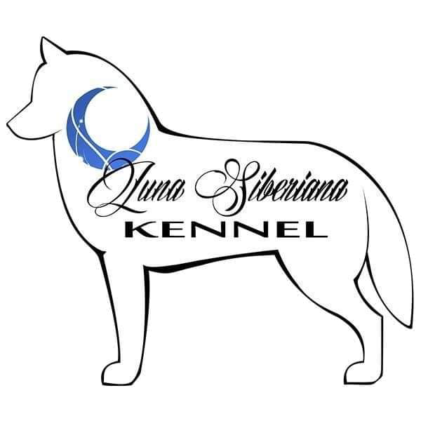 Luna Siberiana Logo